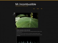 Mrincombustible.tumblr.com