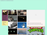 Turtlesrun.tumblr.com