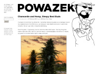 Powazek.com