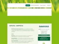 ibipora.com.uy