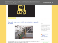 Lundnegocios.blogspot.com