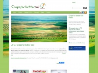 traditional-crops.com