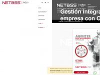 netbss.com Thumbnail