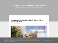Fupapuebla.blogspot.com