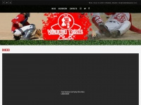 Villalbillabeisbol.com