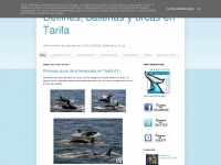 delfines-ballenas-orcas-tarifa.blogspot.com Thumbnail