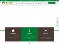 Zoberbac.com