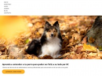 adiestramiento-de-perros.com