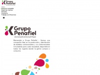 grupopenafiel.com.mx