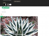 Cactusagroideas.com