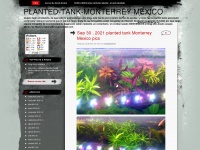 plantedtankmonterrey.wordpress.com