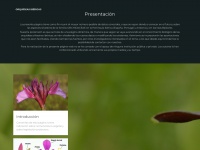 Orquideasibericas.info