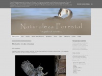 Naturalezaforestal.blogspot.com