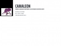 Camaleon.com.uy