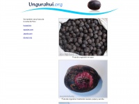 ungurahui.org