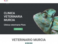 Clinicaveterinariapluto.com