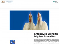 enfeksiyoz-bronsitis.com