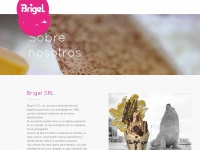 brigel.com.ar Thumbnail