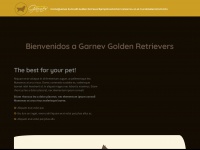 Goldenretriever.com.mx