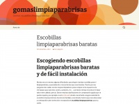 gomaslimpiaparabrisas.wordpress.com