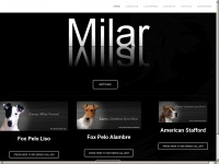 milarfoxterrier.com Thumbnail