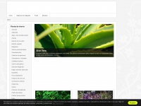 plantaspedia.com