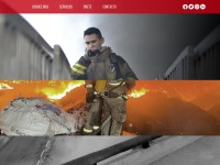 bomberosdenuevoleon.org