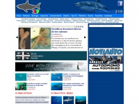 Tiburon319.com