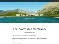 biologyofbelief.wordpress.com Thumbnail