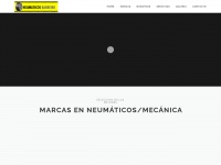 Neumaticosbarreiro.es