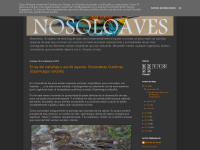 nosoloaves.blogspot.com