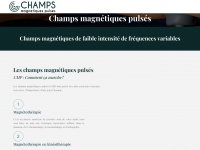 champs-magnetiques-pulses.fr Thumbnail