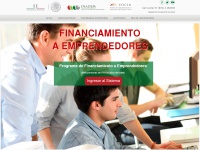 financiamientoemprendedores.inadem.gob.mx Thumbnail