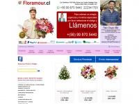 floreriafloramour.cl Thumbnail