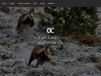 Oscarcastelao.com