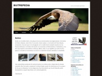 buitrepedia.com