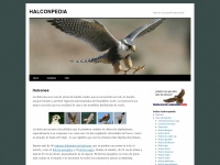 halconpedia.com