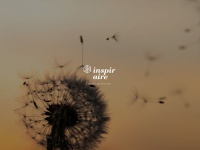 inspiraire.com
