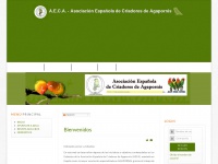 Agapornisaeca.es