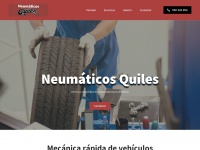 neumaticosquiles.com Thumbnail