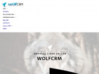 wolfcrm.es Thumbnail