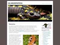 salamandrapedia.com