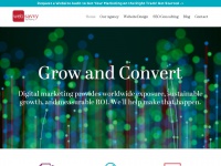Web-savvy-marketing.com