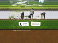 limonium.org