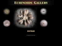 Echinoids-gallery.com