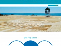 blueflagmexico.org Thumbnail