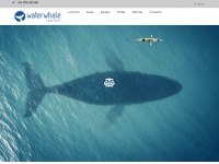 waterwhale.com Thumbnail