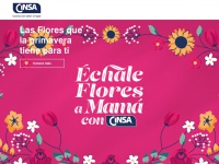 Cinsa.com.mx