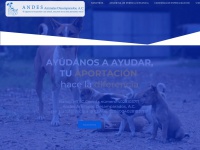 Andes.org.mx
