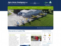 Agroaereogualeguay.com.ar
